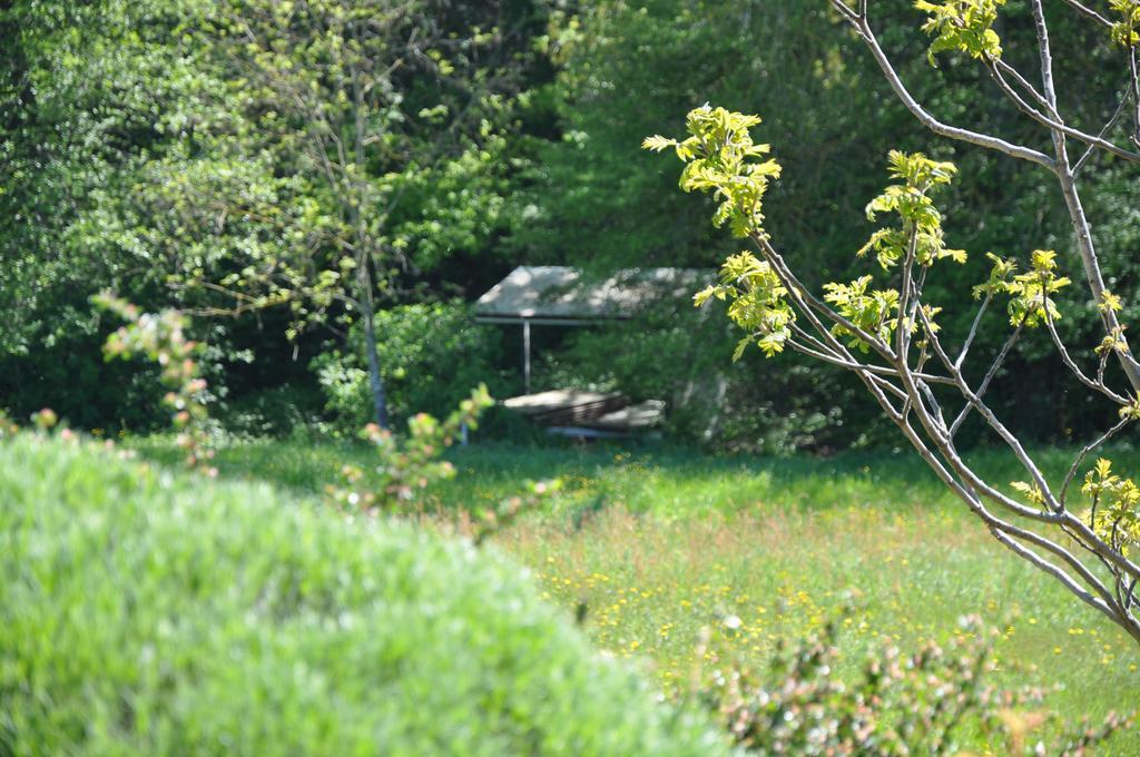 La Bergerie Bed and Breakfast Pollionnay Exteriör bild