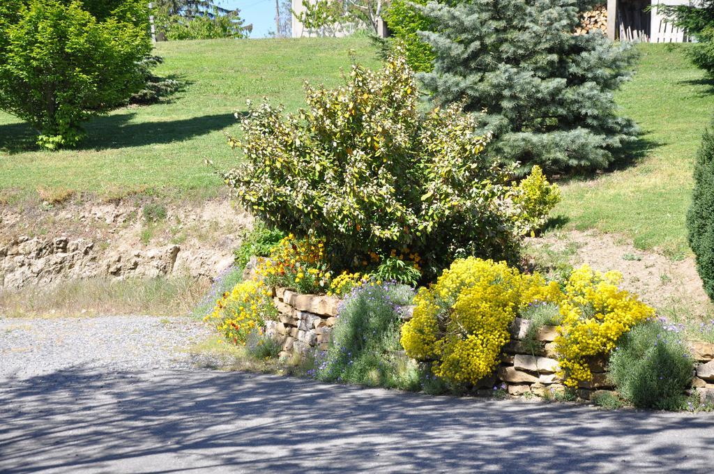 La Bergerie Bed and Breakfast Pollionnay Exteriör bild