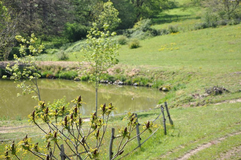 La Bergerie Bed and Breakfast Pollionnay Exteriör bild
