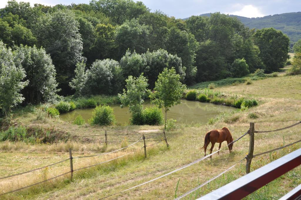 La Bergerie Bed and Breakfast Pollionnay Exteriör bild